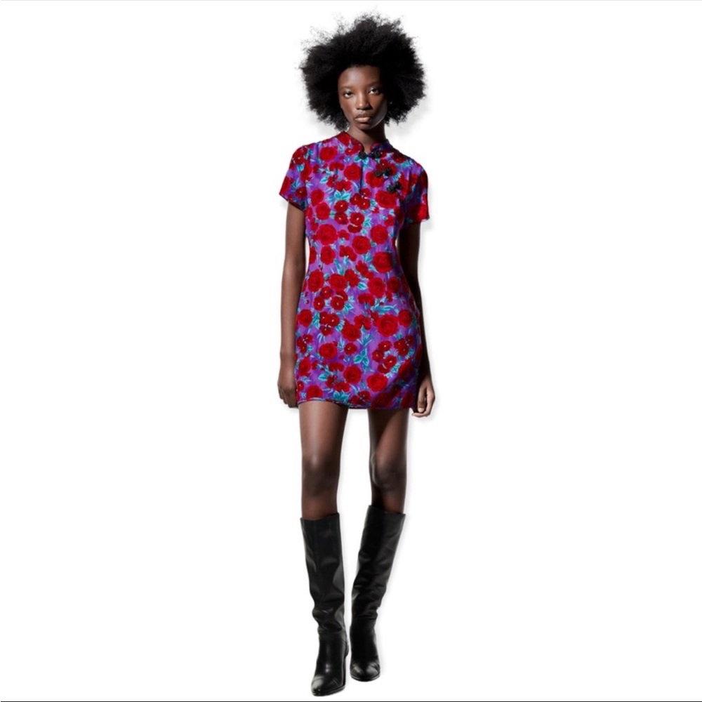 NWT Zara Frog Button Dress - Picture 8 of 11